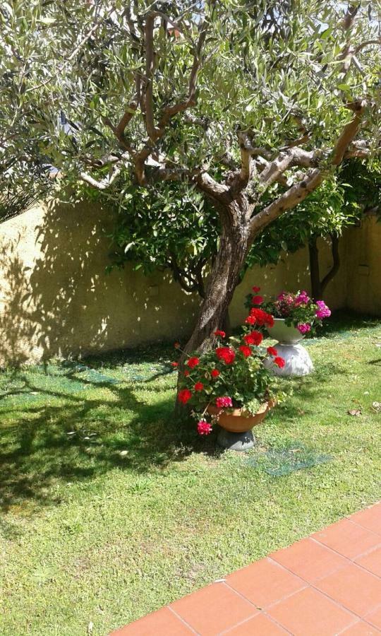 La Casina Dell'Annetta Villa Lido di Camaiore Kültér fotó